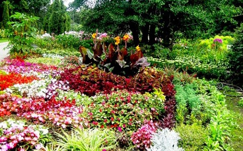 Jardín botánico